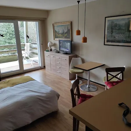 Résidence Le Faucon - Col Du Donon Apartamento Grandfontaine (Bas-Rhin)
