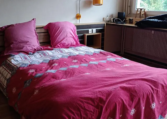 Le Faucon - Col Du Donon 아파트