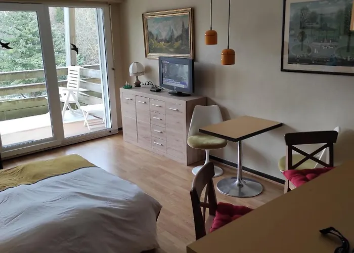 Le Faucon - Col Du Donon 아파트 Grandfontaine (Bas-Rhin)